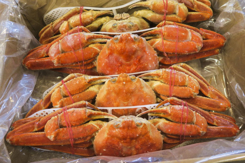 本ずわいがに「姿」が1杯約2500円。美味かった！ 蟹は祭だ！